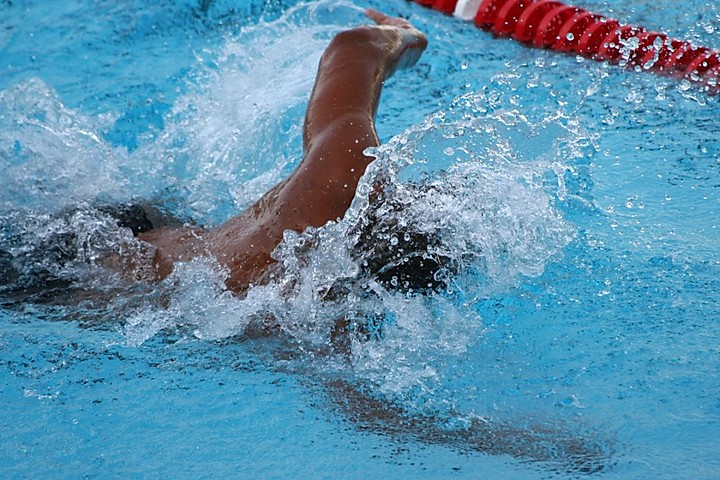 cours de natation adultes vaincre sa peur de l'eau Swim Stars